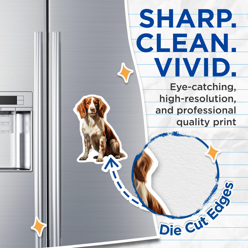 (2 Pack) Springer Spaniel Magnets - Dog Lover Decor - Pet Breed Artwork for Fridge - 5 Inches On Longest Side - Thick Durable Magnet - Made in USA - MAG27306