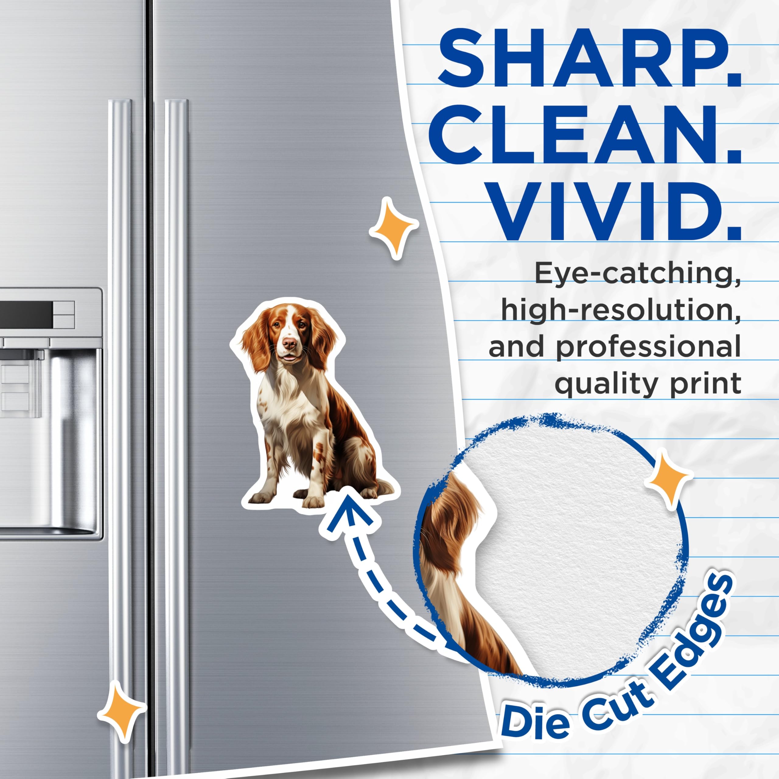 (2 Pack) Springer Spaniel Magnets - Dog Lover Decor - Pet Breed Artwork for Fridge - 5 Inches On Longest Side - Thick Durable Magnet - Made in USA - MAG27306
