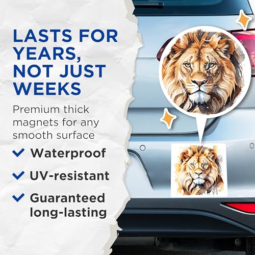 (2 Pack) Lion Magnets Magnets - 5" On Longest Side - Made in USA - Sticks to Refrigerators & Metal Surfaces - MAG8692