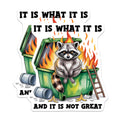 (2 Pack) It is What It is Magnets - Raccoon Dumpster Fire - Funny Meme Magnets - 5" On Longest Side - Premium Magnet - for Cars, Refrigerators, Toolboxes, Lockers - Made in USA - MAG16244