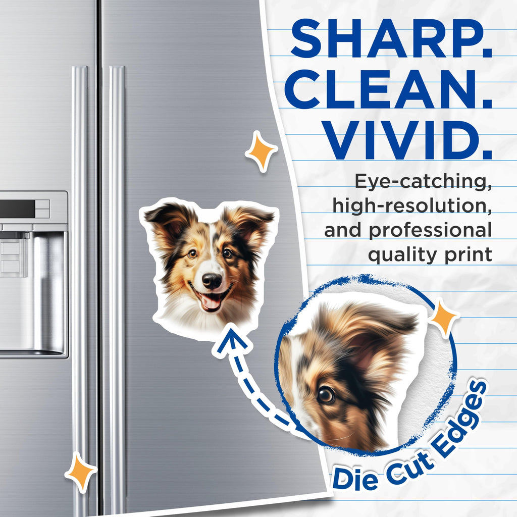 (2 Pack) Happy Sheltie Dog Magnets - Cute Collie Lover Decor - Pet Parent Refrigerator Adornment for Dog Moms Dads - 5 Inches On Longest Side - Thick Durable Magnet - Made in USA - MAG28976