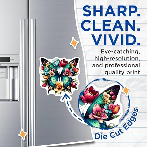 (2 Pack) Vibrant Refrigerator Decor Magnet - 5" On Longest Side - Sticks to Smooth Flat Surfaces - Made in USA - MAG10065