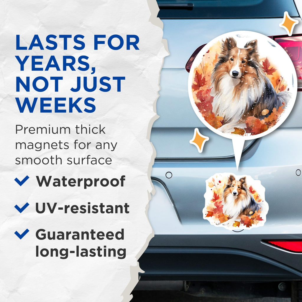 (2 Pack) Sheltie Magnets - Autumn Dog Decor - Watercolor Fall Pet Lover Art - 5 Inches On Longest Side - Thick Durable Magnet - Made in USA - MAG23471