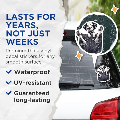 (2 Pack) Cute Dalmatian Dog Stickers - Pocket Dog Lover Stickers - Animal Dog Decals for Laptop - 5" On Longest Side - Sticks to Smooth Flat Surfaces - Made in USA - BMCS3976