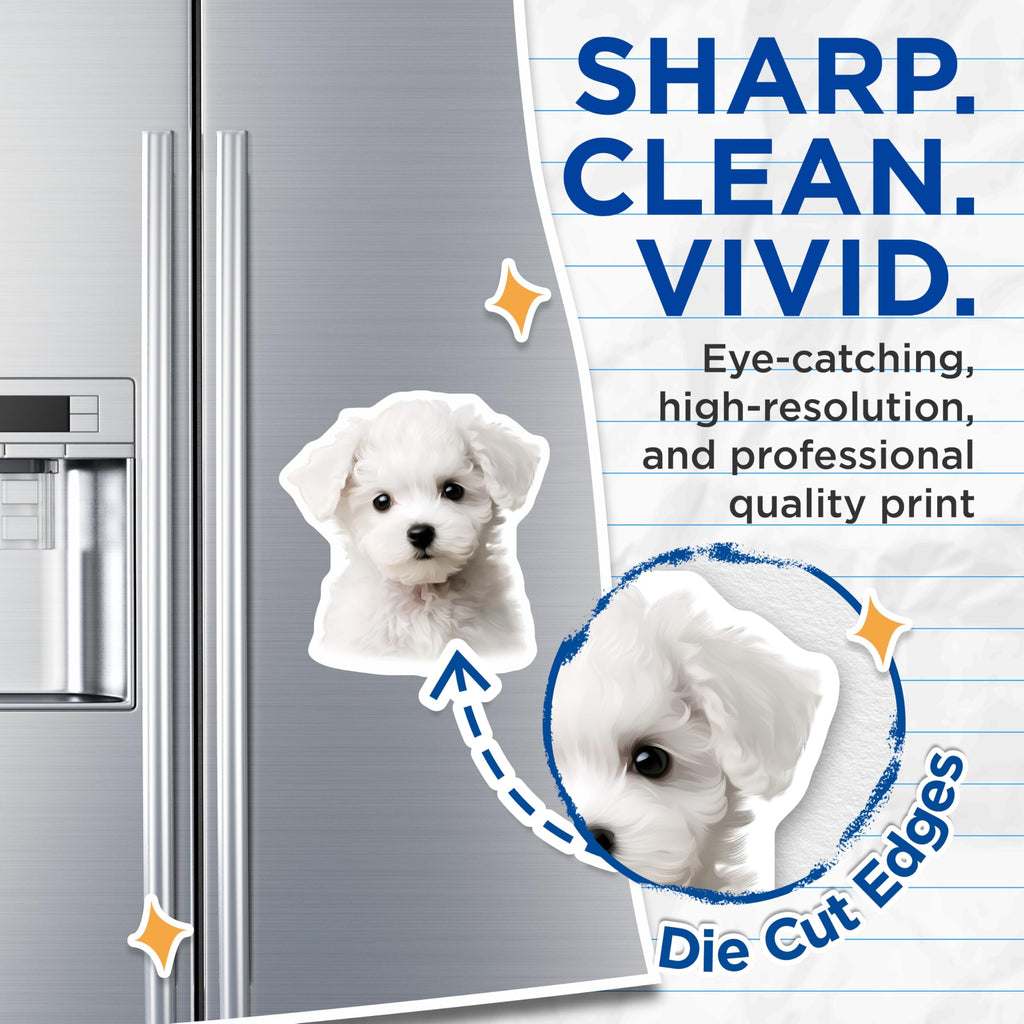 (2 Pack) Bichon Frise Puppy Magnets - Cute White Dog Decor - Fluffy Pet Animal Refrigerator Magnets - 5 Inches On Longest Side - Thick Durable Magnet - Made in USA - MAG23932