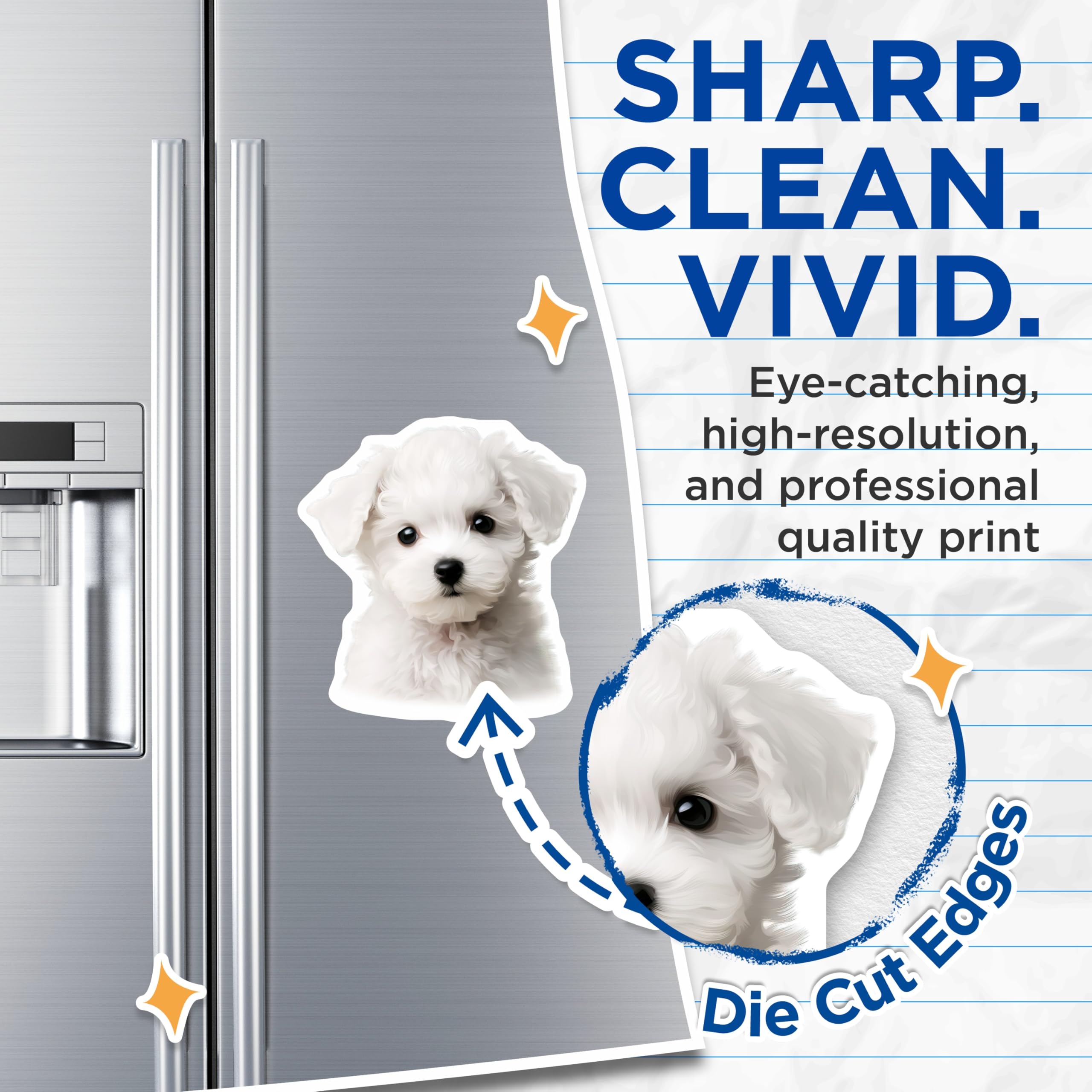 (2 Pack) Bichon Frise Puppy Magnets - Cute White Dog Decor - Fluffy Pet Animal Refrigerator Magnets - 5 Inches On Longest Side - Thick Durable Magnet - Made in USA - MAG23932