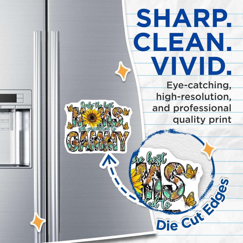 (2 Pack) Promoted to Gammy Magnets - New Grandma Southwestern Butterfly - Mothers Day Sunflower Decor - 5 Inches On Longest Side - Thick Durable Magnet - Made in USA - MAG27864