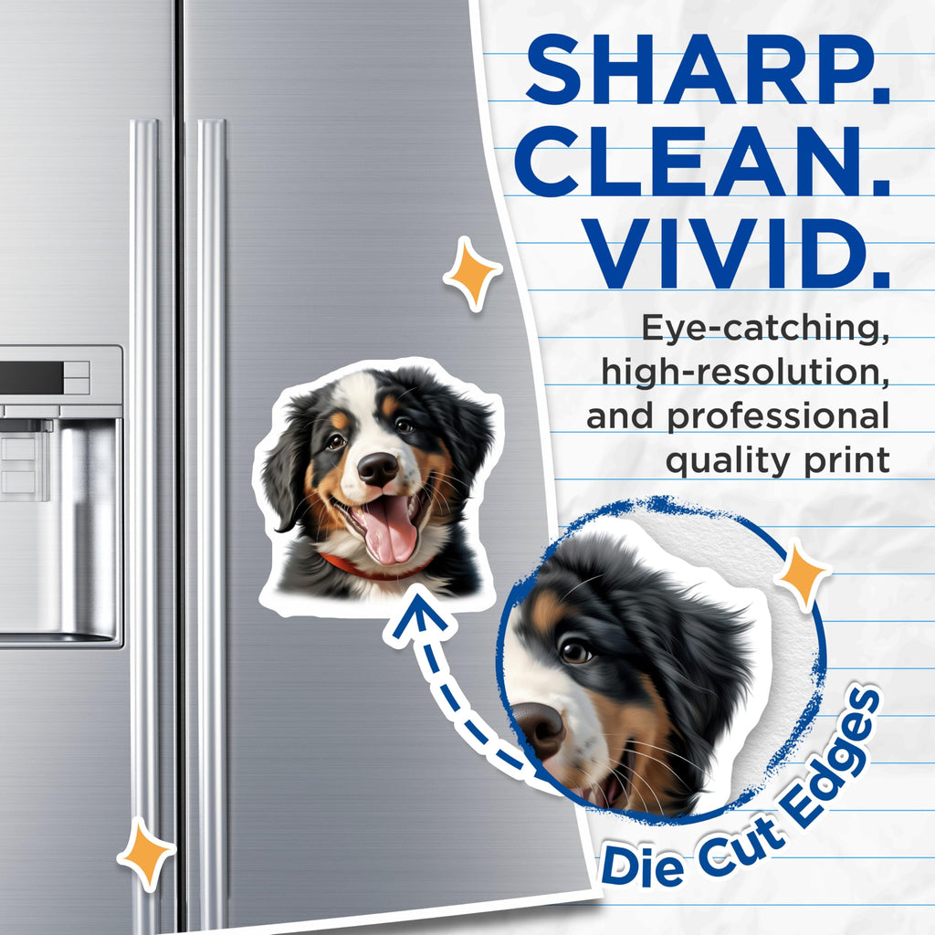 (2 Pack) Bernese Mountain Dog Puppy Magnets - Happy Dog Face Decor - Pet Lover Refrigerator Art - 5 Inches On Longest Side - Thick Durable Magnet - Made in USA - MAG23252