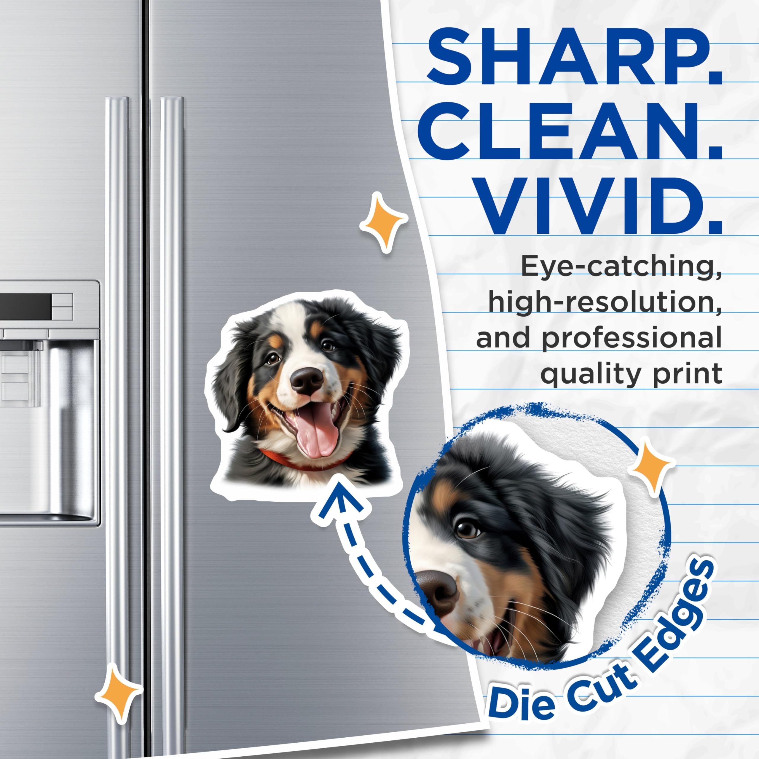 (2 Pack) Bernese Mountain Dog Puppy Magnets - Happy Dog Face Decor - Pet Lover Refrigerator Art - 5 Inches On Longest Side - Thick Durable Magnet - Made in USA - MAG23252