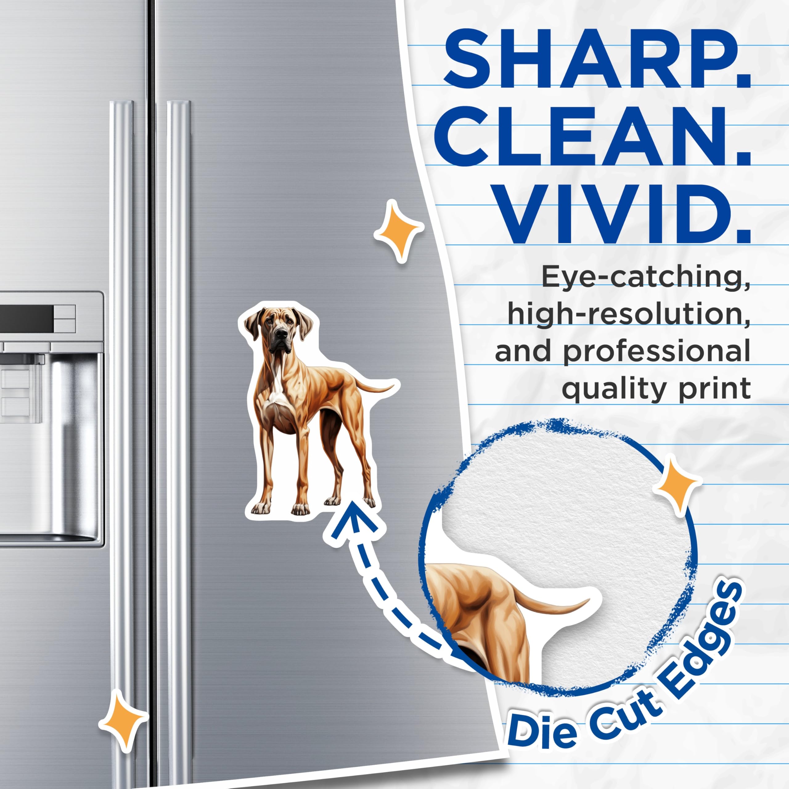 (2 Pack) Great Dane Magnets - Dog Owner Decor - Breed Specific Art Magnets - 5 Inches On Longest Side - Thick Durable Magnet - Made in USA - MAG25459