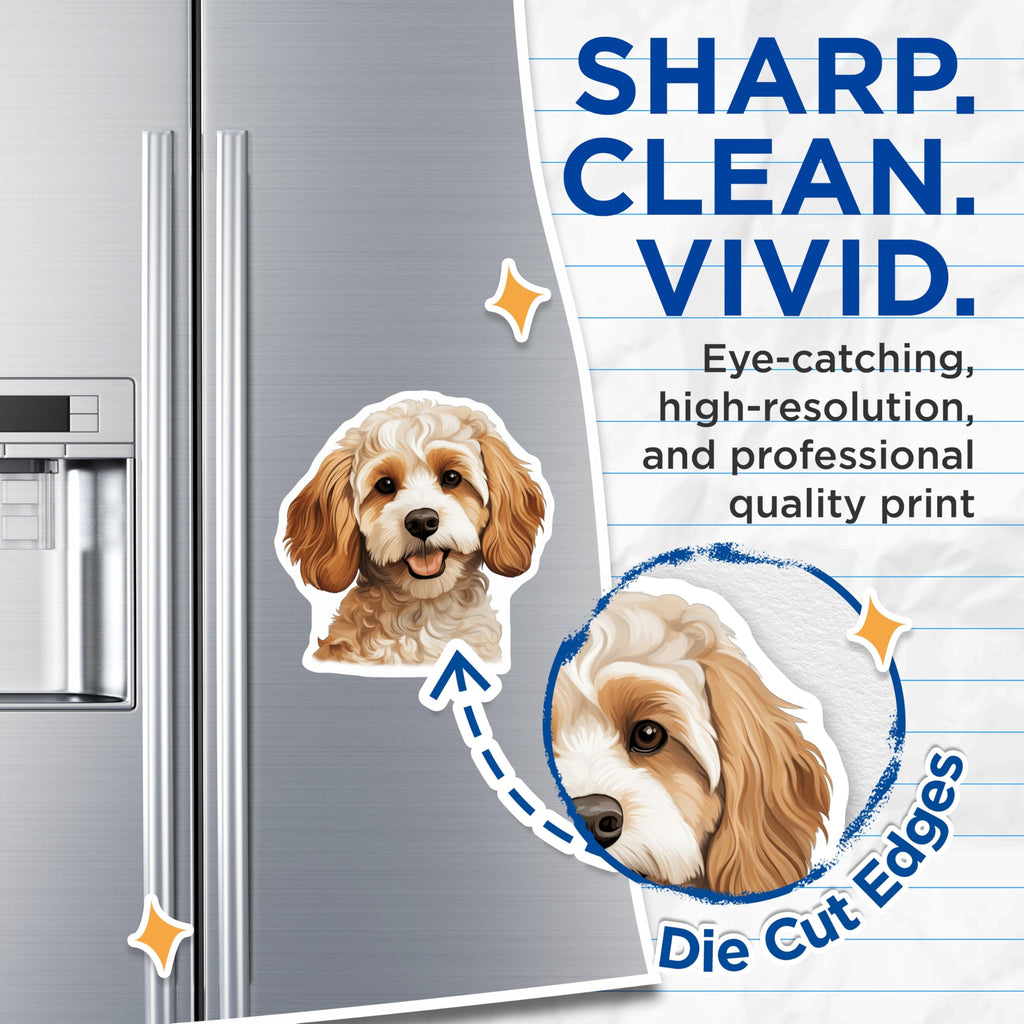 (2 Pack) Cockapoo Dog Magnets - Cute Doodle Puppy - Pet Lover Refrigerator Decor - 5 Inches On Longest Side - Thick Durable Magnet - Made in USA - MAG24716