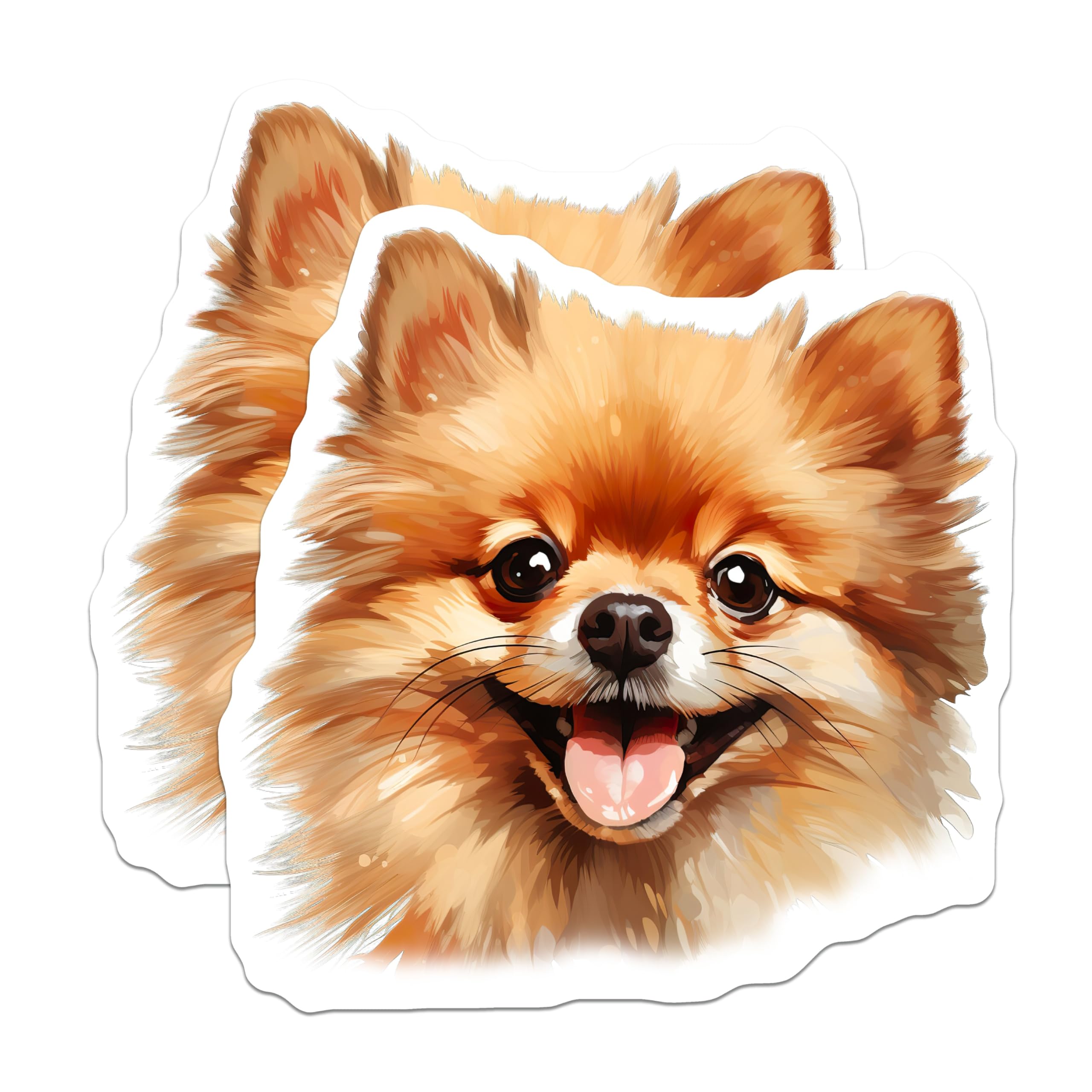 (2 Pack) Pomeranian Dog Magnets - Smiling Pomeranian Art - Fluffy Pet Lover Decor - Adorable Canine Items - 5 Inches On Longest Side - Thick Durable Magnet - Made in USA - MAG24011