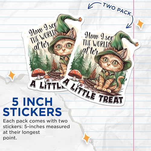 (2 Pack) How I See The World After Stickers - Funny Cat Stickers - Whimsical Cat Art Stickers - 5" On Longest Side - Sticks to Smooth Flat Surfaces - Made in USA - BMCS4349