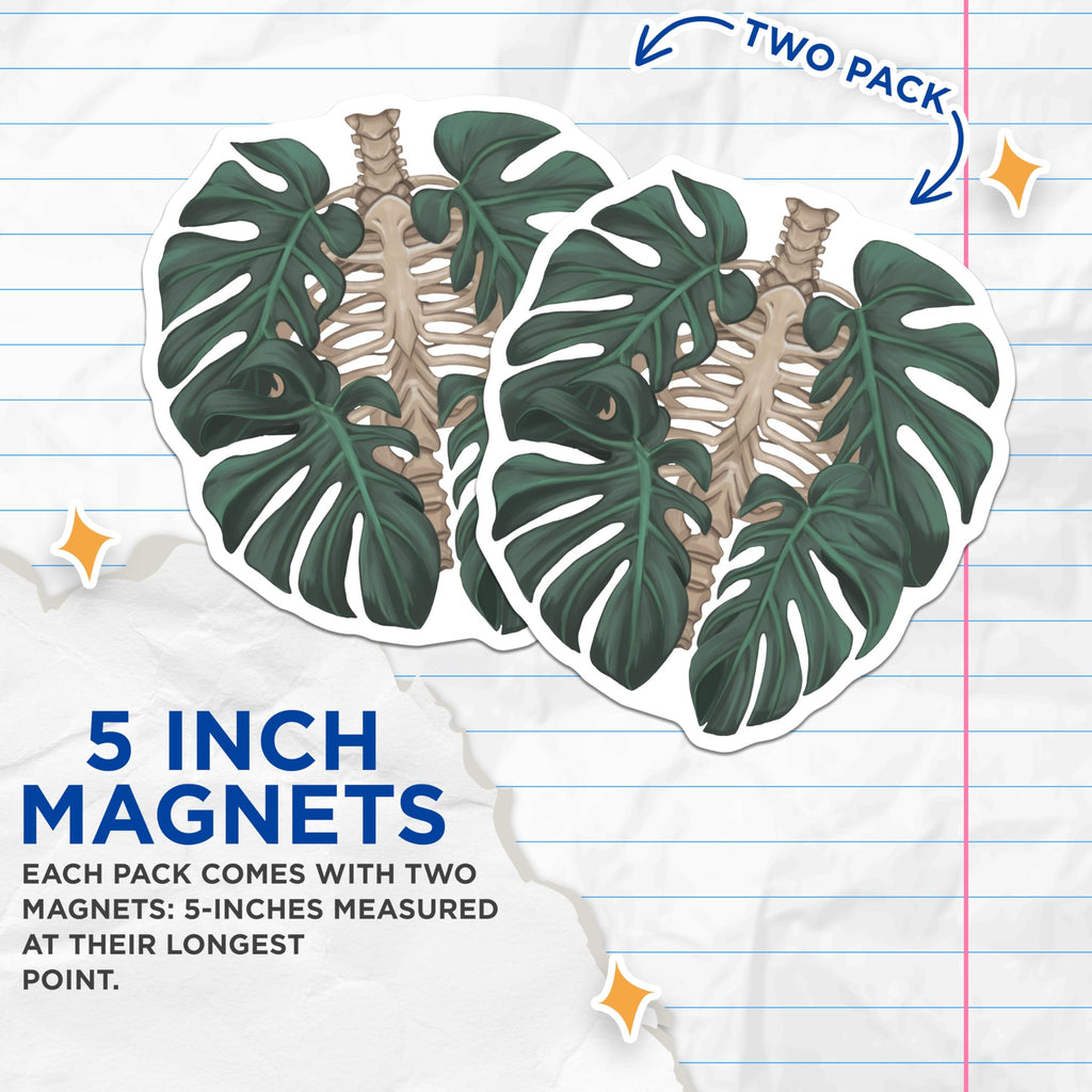 (2 Pack) Monstera Skeleton Magnets - Botanical Anatomy Decor - Unique Fridge Accessories - 5 Inches On Longest Side - Thick Durable Magnet - Made in USA - MAG19067