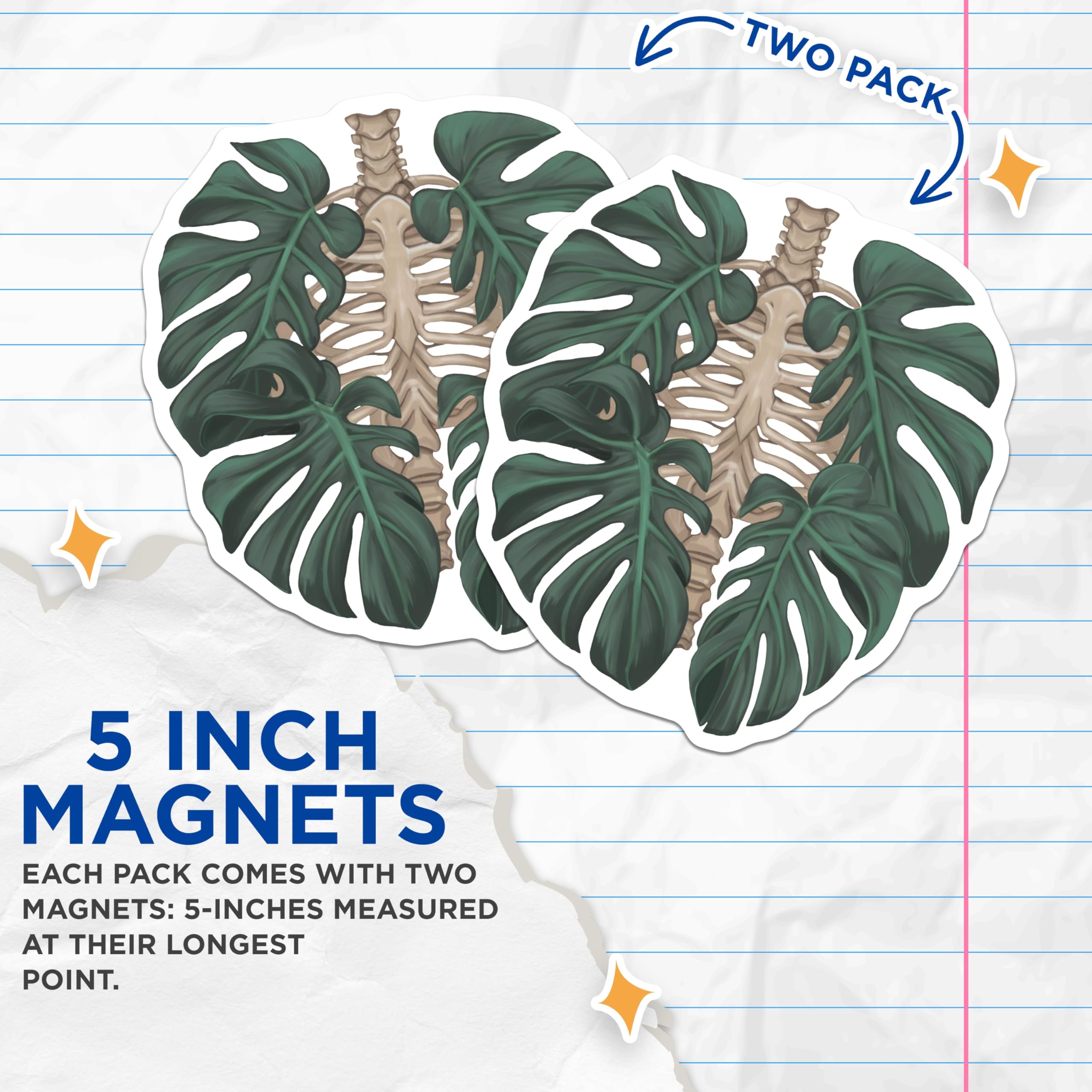 (2 Pack) Monstera Skeleton Magnets - Botanical Anatomy Decor - Unique Fridge Accessories - 5 Inches On Longest Side - Thick Durable Magnet - Made in USA - MAG19067