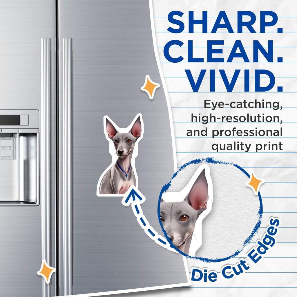 (2 Pack) Italian Greyhound Magnets - Dog Lover Decor - Pet Owner Home Accent - Italian Sighthound Art - 5 Inches On Longest Side - Thick Durable Magnet - Made in USA - MAG38866