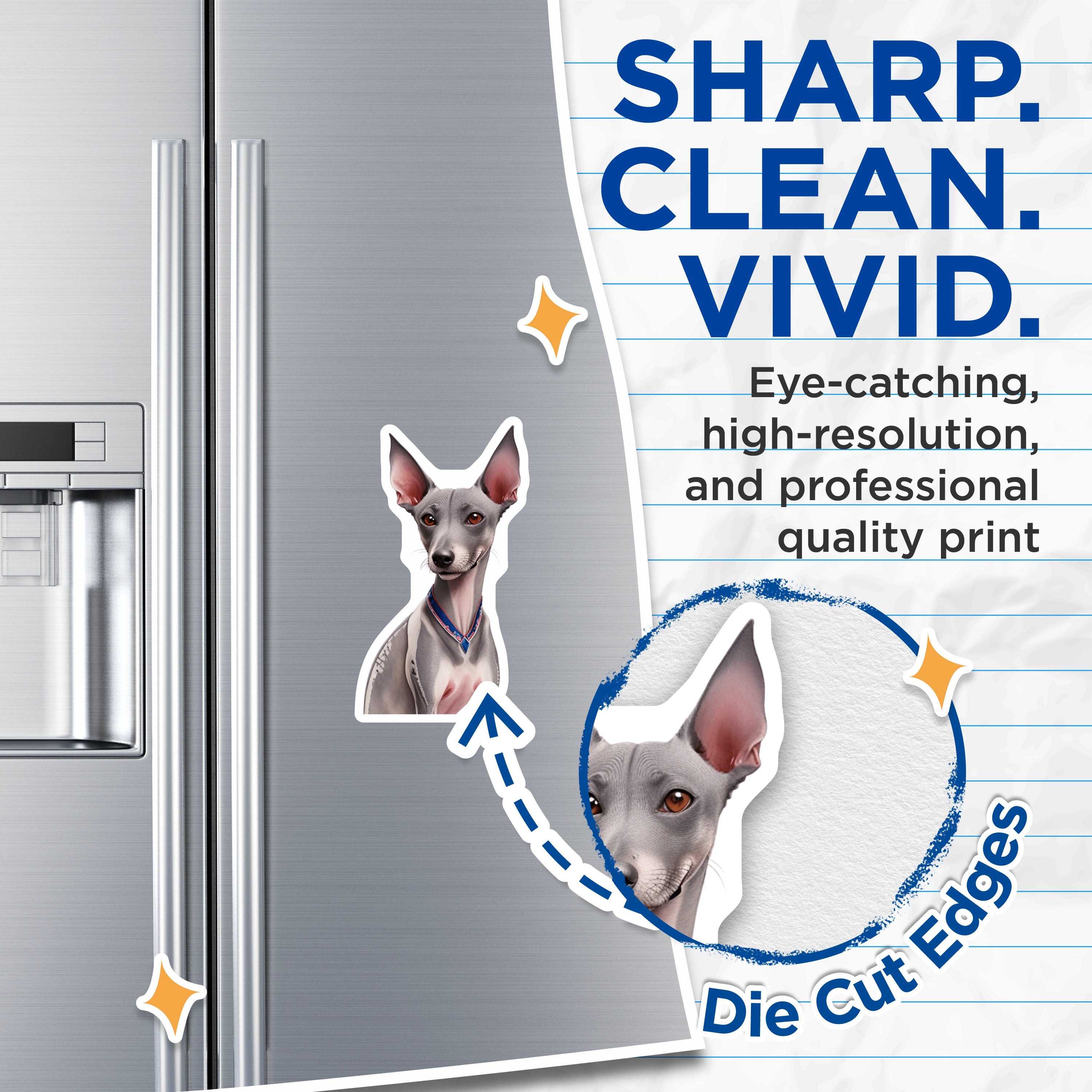 (2 Pack) Italian Greyhound Magnets - Dog Lover Decor - Pet Owner Home Accent - Italian Sighthound Art - 5 Inches On Longest Side - Thick Durable Magnet - Made in USA - MAG38866