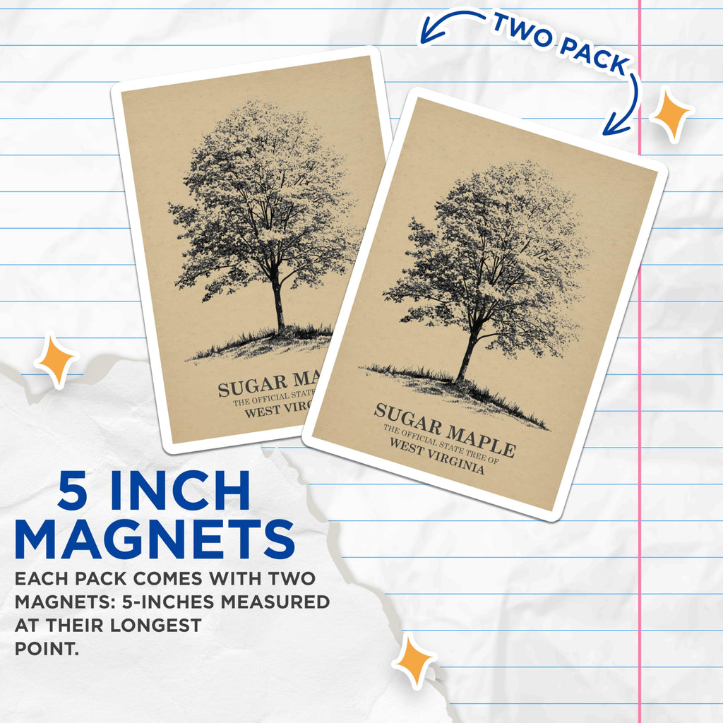 (2 Pack) Sugar Maple Tree Magnets - West Virginia State Tree - Botanical Fridge Decor - 5 Inches On Longest Side - Thick Durable Magnet - Made in USA - MAG19165