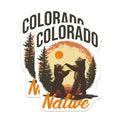 (2 Pack) Colorado Bear Magnets - Native Wildlife - Rocky Mountains Souvenir - 5" On Longest Side - Premium Magnet - for Cars, Refrigerators, Toolboxes, Lockers - Made in USA - MAG17201