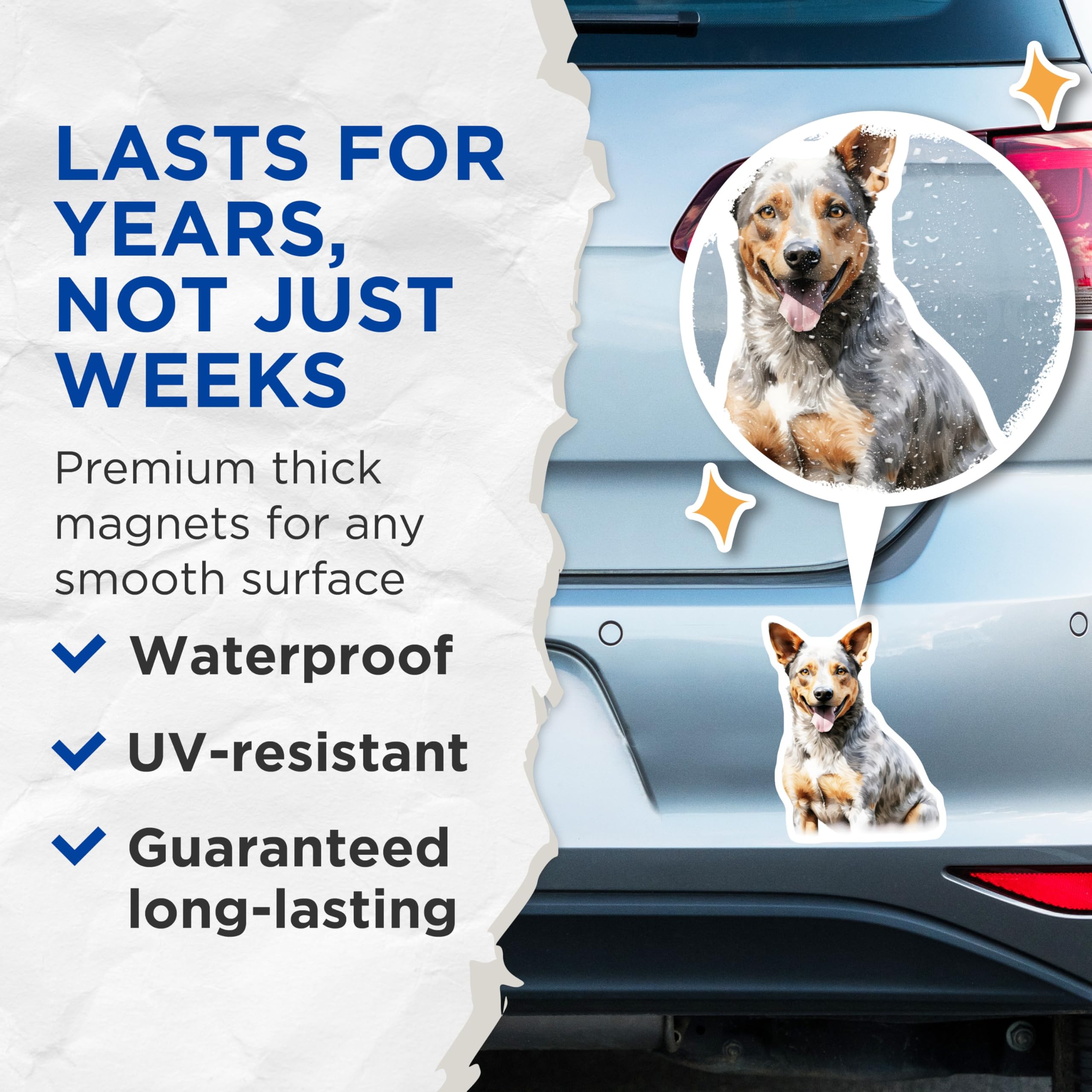 (2 Pack) Blue Heeler Magnets - Australian Cattle Dog Decor - Dog Mom Fridge Art - Pet Lover Refrigerator Magnets - 5 Inches On Longest Side - Thick Durable Magnet - Made in USA - MAG30046