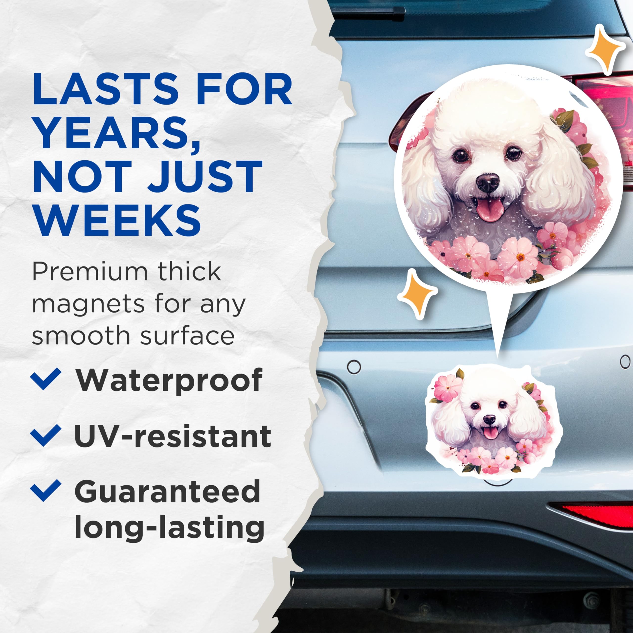 (2 Pack) White Poodle Magnets - Cute Pet Art Illustration - Pink Floral Puppy Decor - Animal Lover Fridge Magnet - 5 Inches On Longest Side - Thick Durable Magnet - Made in USA - MAG24620
