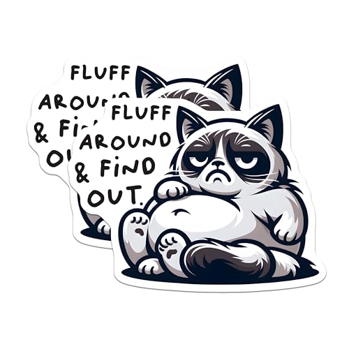 (2 Pack) Grumpy Cat Stickers - Fluff Around Find Out - Funny Hilarious - 5" On Longest Side - Sticks to Smooth Flat Surfaces - Made in USA - BMCS7347
