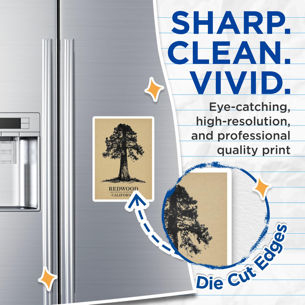 (2 Pack) Redwood Tree Magnets - California State Tree - Nature Lover Fridge Magnets - 5" On Longest Side - Premium Magnet - for Cars, Refrigerators, Toolboxes, Lockers - Made in USA - MAG17372