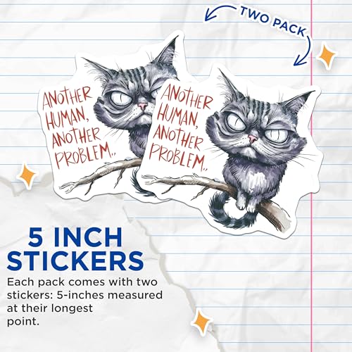 (2 Pack) Cat Stickers - 5" On Longest Side - Sticks to Smooth Flat Surfaces - Made in USA - BMCS8564 - BMCS8564