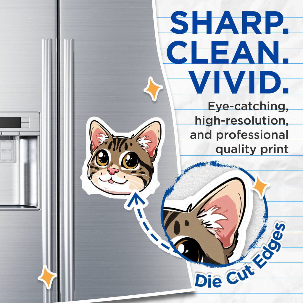 (2 Pack) Cute Cat Magnets - Tabby Kitty Decor - Kawaii Animal Refrigerator - Pet Lover Display - 5 Inches On Longest Side - Thick Durable Magnet - Made in USA - MAG36240