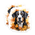 (2 Pack) Bernese Mountain Dog Magnets - Autumn Fall Dog Decor - Pet Refrigerator Items - 5 Inches On Longest Side - Thick Durable Magnet - Made in USA - MAG24693