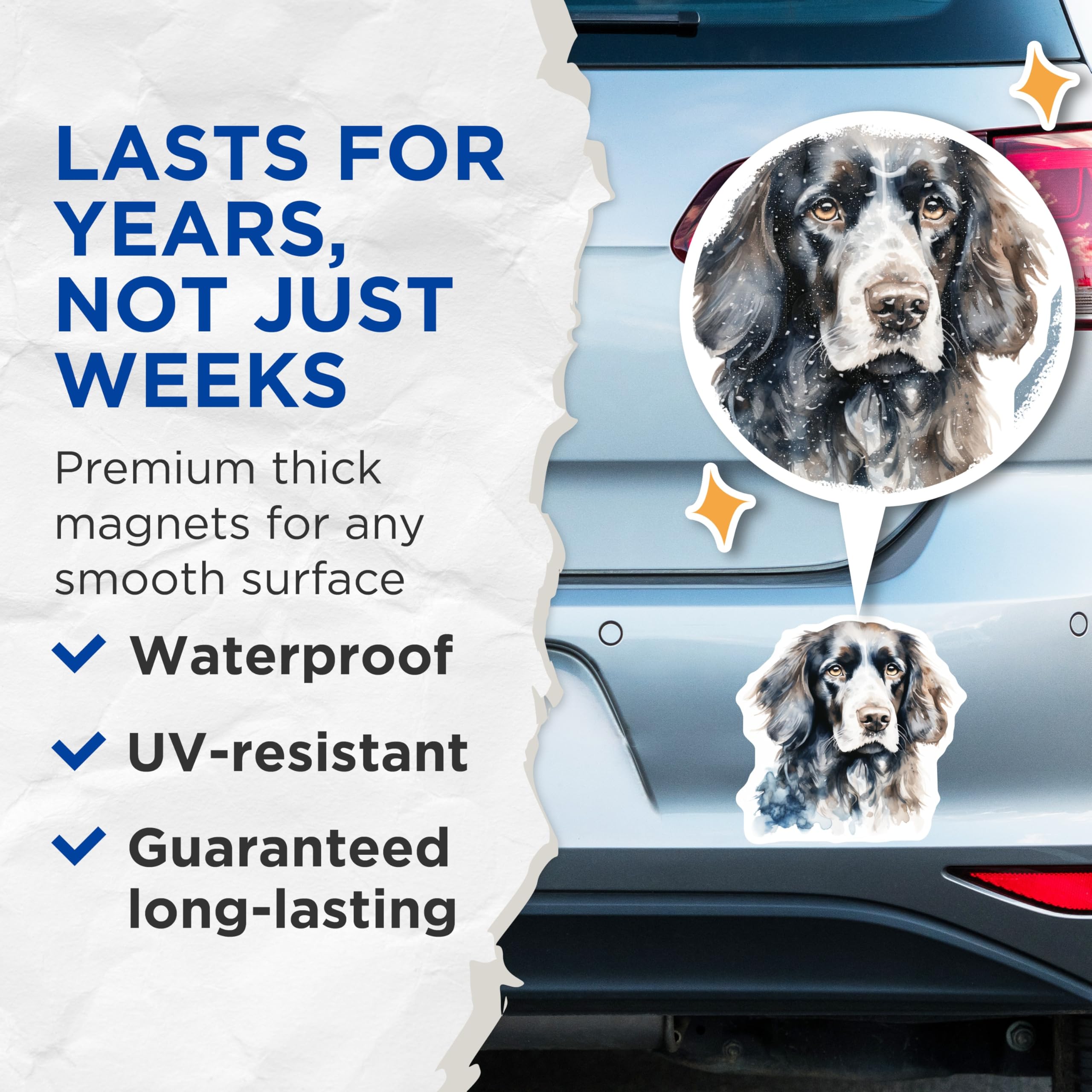 (2 Pack) Springer Spaniel Magnets - Watercolor Dog Art - Pet Lover Home Decor - 5 Inches On Longest Side - Thick Durable Magnet - Made in USA - MAG25298