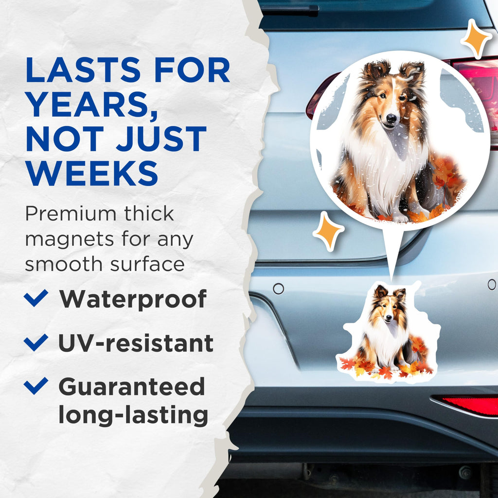 (2 Pack) Sheltie Dog Magnets - Autumn Leaves Decor - Shetland Sheepdog Fall Art - 5 Inches On Longest Side - Thick Durable Magnet - Made in USA - MAG23559