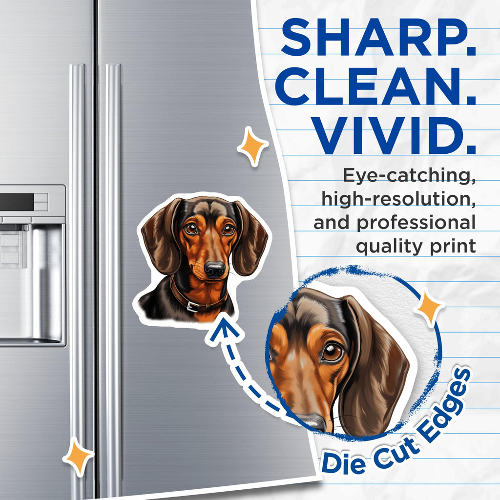 (2 Pack) Dachshund Dog Magnets - Wiener Dog Decor - Sausage Dog Lover Accessory - Pet Parent Present - 5 Inches On Longest Side - Thick Durable Magnet - Made in USA - MAG29975