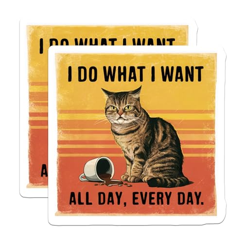 (2 Pack) Cat Humor Stickers - Funny Cat Quotes - All Day Every Day Cat Sticker Decal - 5" On Longest Side - Sticks to Smooth Flat Surfaces - Made in USA - BMCS5738