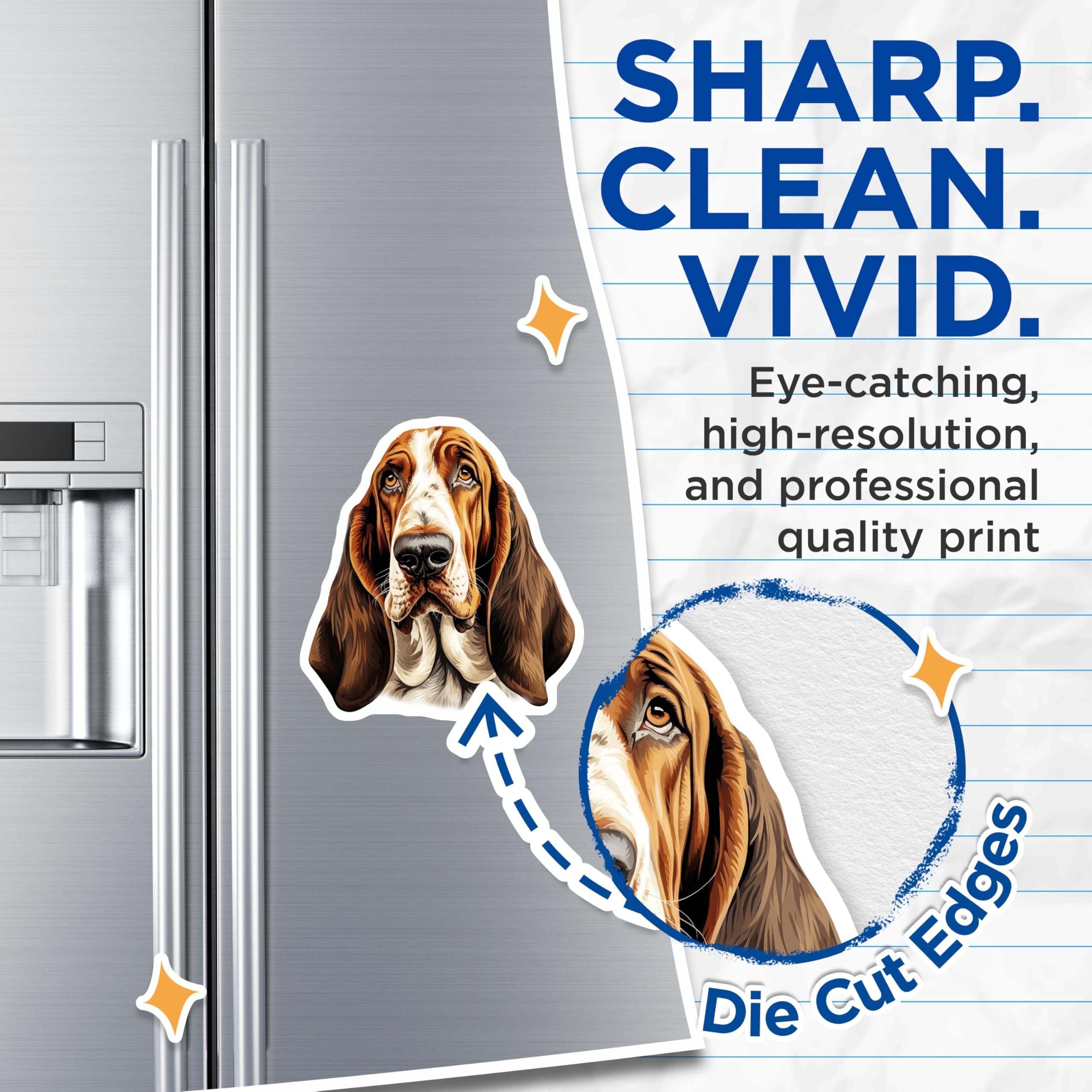 (2 Pack) Basset Hound Magnets - Dog Lover Decor - Pet Breed Accessories - Cute Animal Art for Fridge - 5 Inches On Longest Side - Thick Durable Magnet - Made in USA - MAG25744
