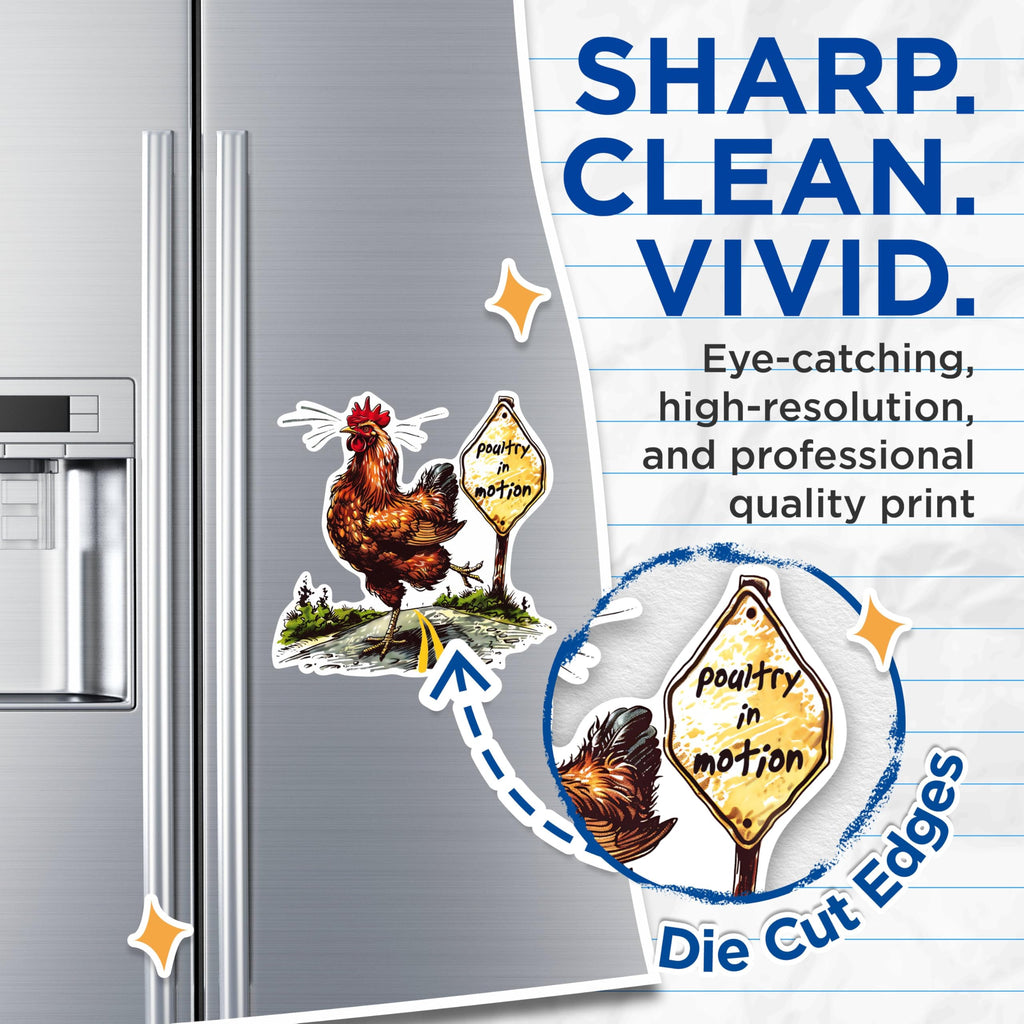 (2 Pack) Chicken Road Crossing Magnets - Funny Chicken Magnets - Poultry in Motion Magnets- 5" On Longest Side - for Fridges, Toolboxes, Cars - Made in USA - MAG2605