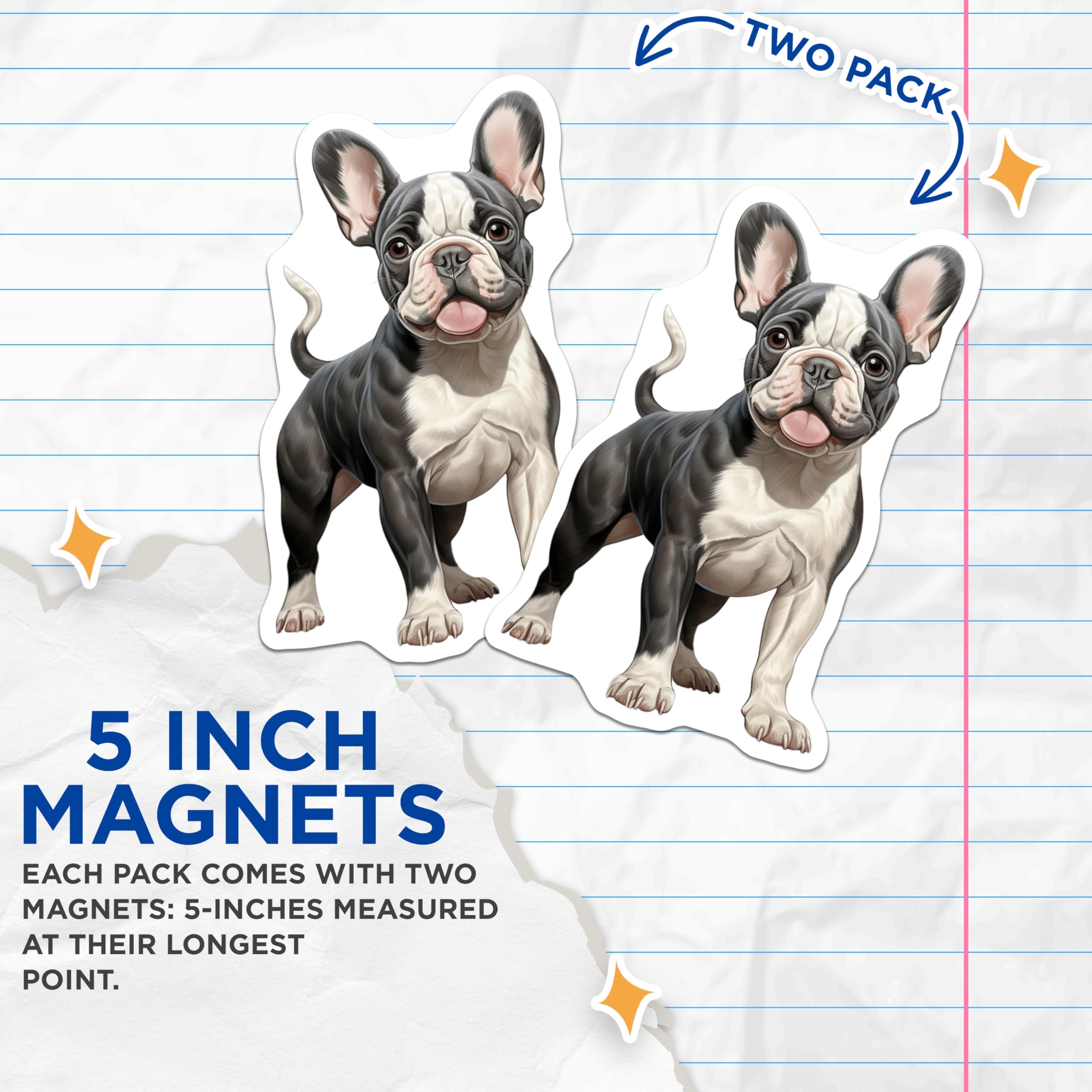 (2 Pack) French Bulldog Magnets - Cute Frenchie Puppy - Dog Lover Accessory - Refrigerator Decor for Pet Owners - 5 Inches On Longest Side - Thick Durable Magnet - Made in USA - MAG28462