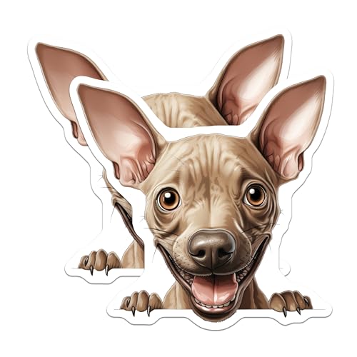 (2 Pack) Cute Dog Face Stickers - Funny Animal Stickers - Pet Lovers Stickers - 5" On Longest Side - Sticks to Smooth Flat Surfaces - Made in USA - BMCS9823