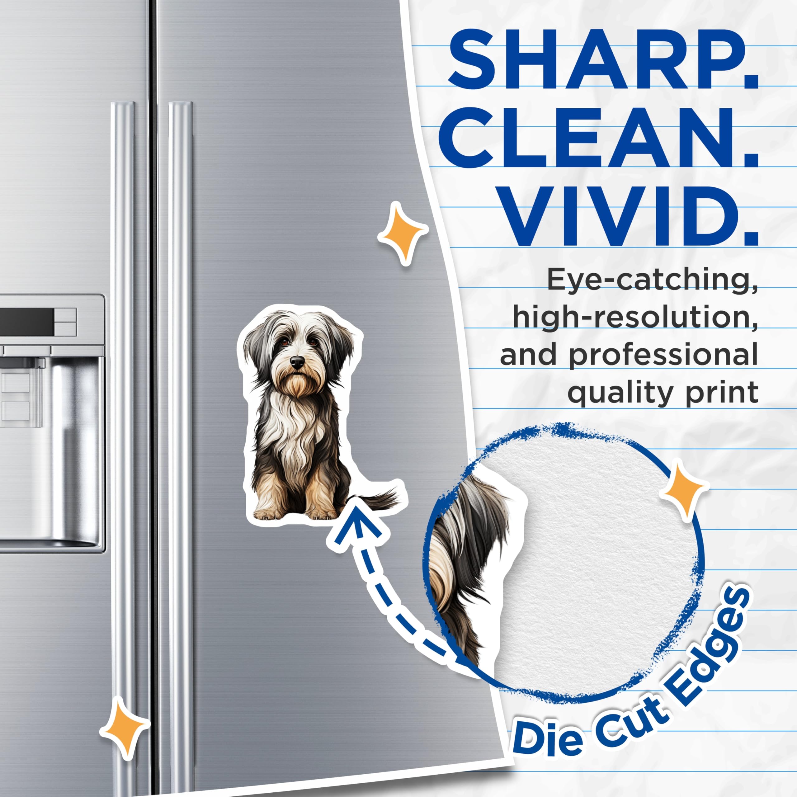 (2 Pack) Fluffy Dog Magnets - Havanese Puppy Pet Owner - Cute Animal Fridge Decor for Dog Moms - 5 Inches On Longest Side - Thick Durable Magnet - Made in USA - MAG25920