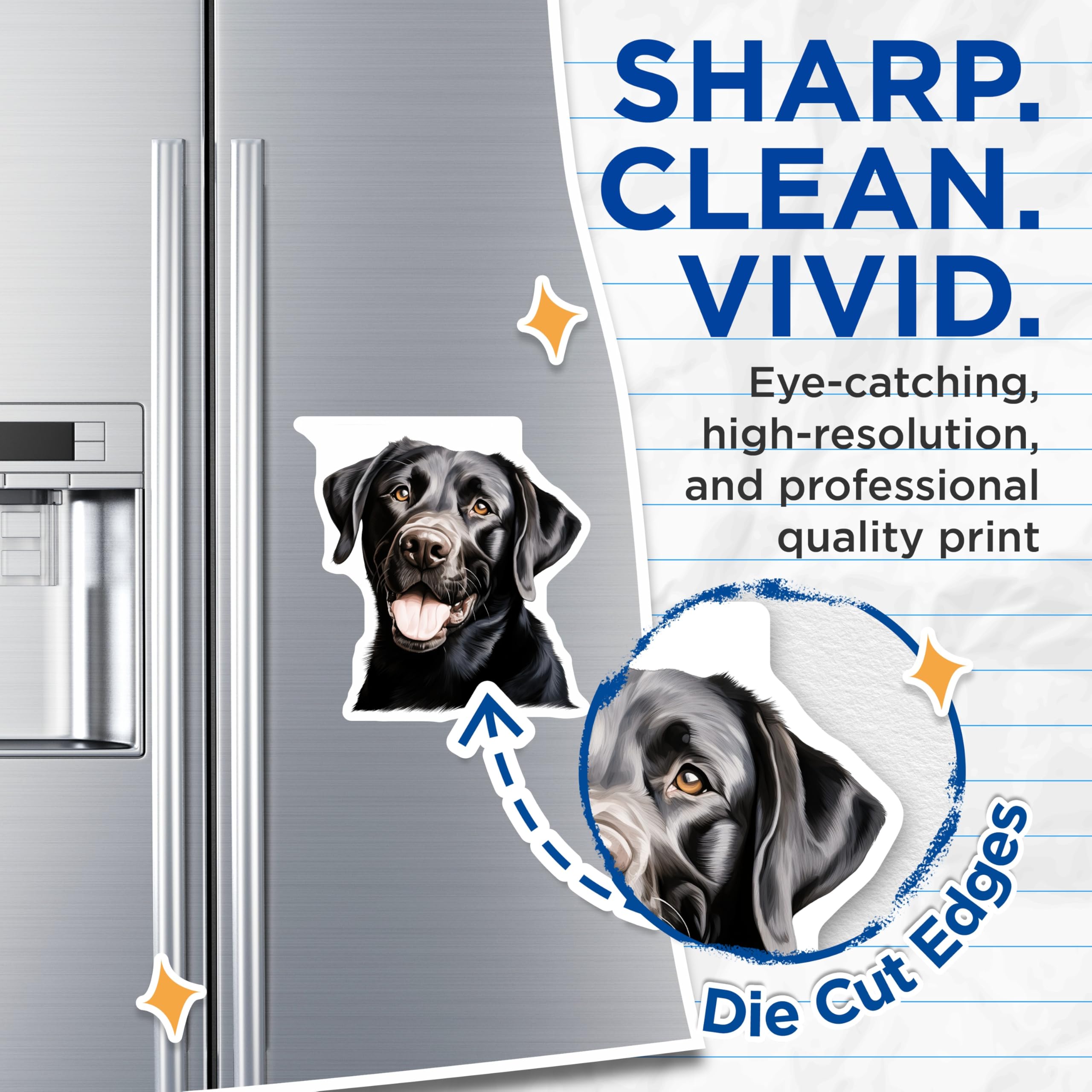 (2 Pack) Black Labrador Magnets - Dog Lover Decor - Pet Owner Kitchen Accent - 5 Inches On Longest Side - Thick Durable Magnet - Made in USA - MAG30393