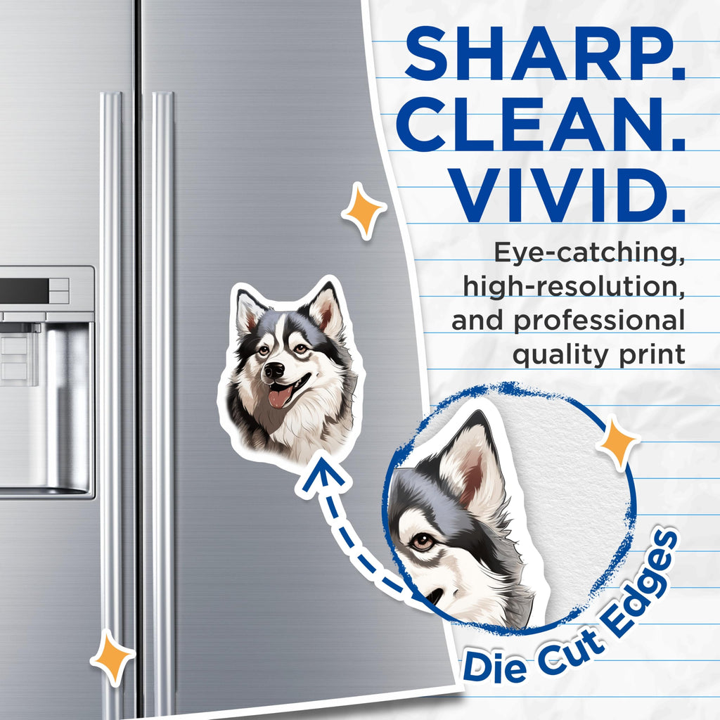 (2 Pack) Husky Dog Magnets - Cute Smiling Husky - Dog Lover Refrigerator Decor - Pet Owner Kitchen Accent - 5 Inches On Longest Side - Thick Durable Magnet - Made in USA - MAG27989