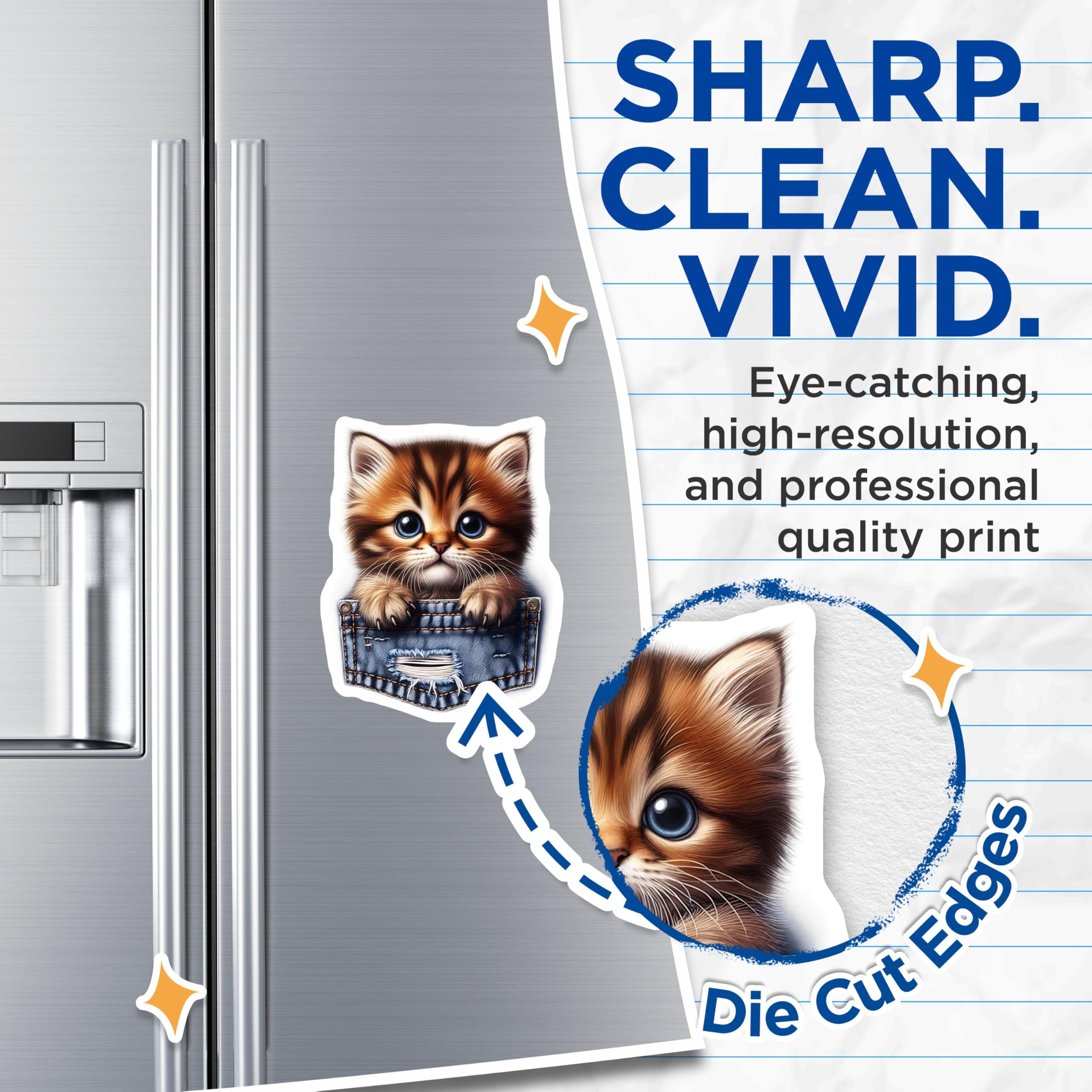 (2 Pack) Kitten in Pocket Magnets - Cute Tabby Kitty - Fridge Locker Decor - 5" On Longest Side - Premium Magnet - for Cars, Refrigerators, Toolboxes, Lockers - Made in USA - MAG16194