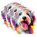 (3 Pack) Bearded Collie Decals - Laptop Sticker - Dog Breed Lover - 3 Inches On Longest Side - Easy Peel & Apply - Made in USA - 3MCS0782