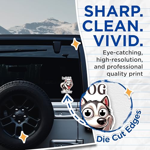 (2 Pack) in Dog We Trust Stickers - Cute Dog Cartoon Stickers - Funny Dog Quote Stickers for Dog Lovers - 5" On Longest Side - Sticks to Any Smooth Flat Surface - Made in USA - BMCS2806