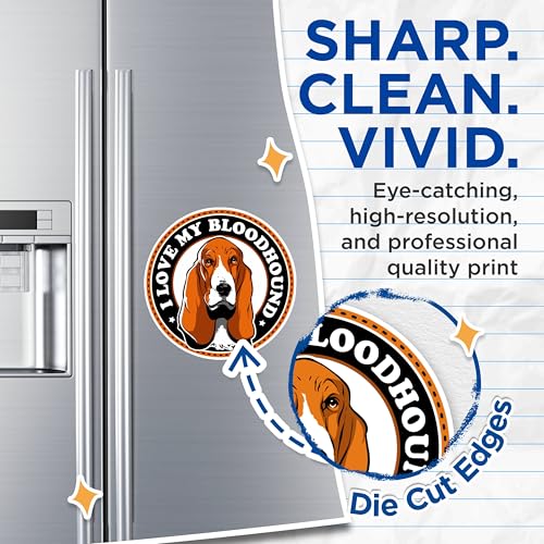 (2 Pack) I Love My Bloodhound Magnets - Dog Lover Magnets - Pet Owner Magnets - Dog Breed Magnets - Canine Enthusiast Magnets- 5" On Longest Side - for Fridges, Toolboxes, Cars - Made in USA - MAG2965