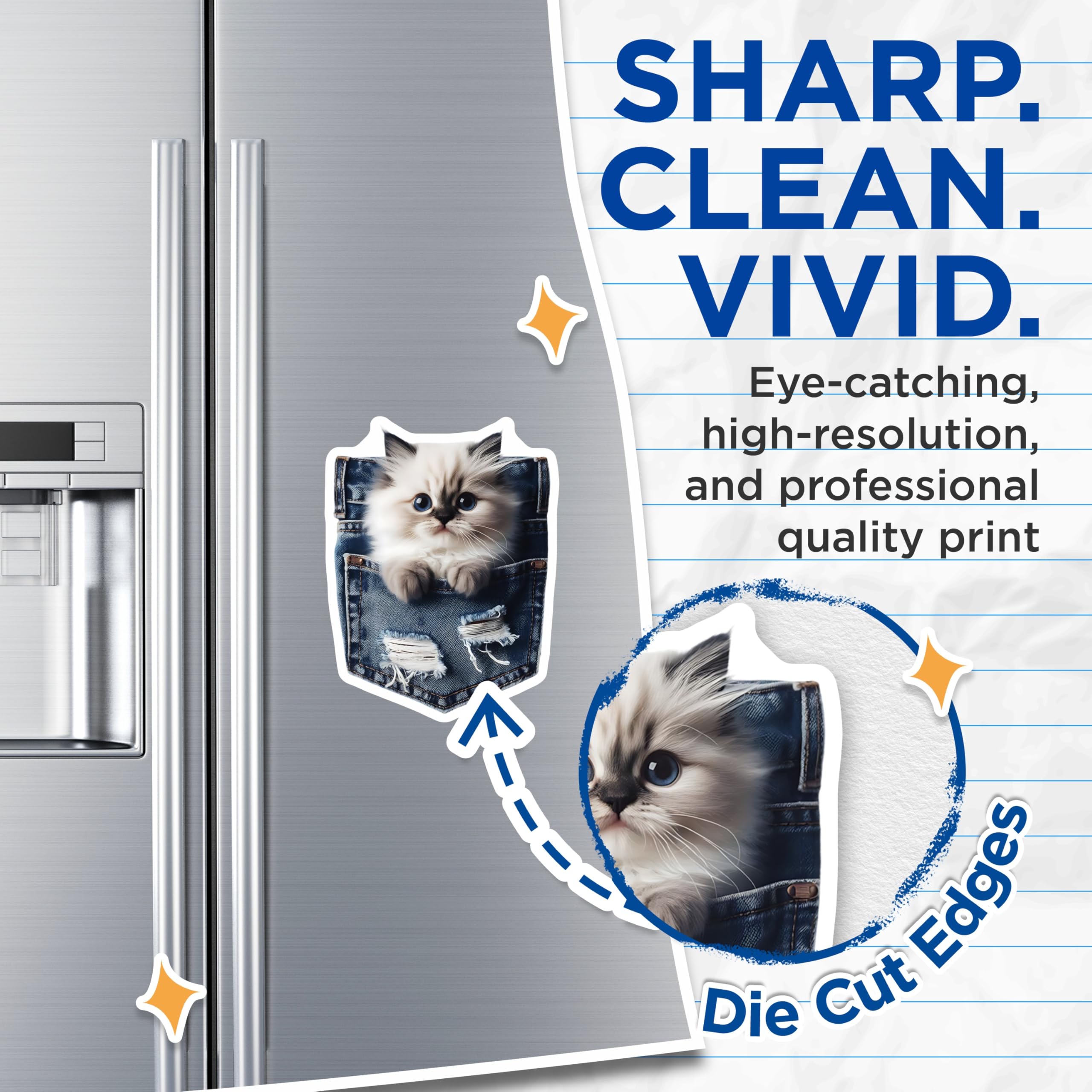 (2 Pack) Pocket Cat Magnets - Ragdoll Kitten - Blue Eyes Refrigerator Decor - 5" On Longest Side - Premium Magnet - for Cars, Refrigerators, Toolboxes, Lockers - Made in USA - MAG14985