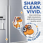 (2 Pack) Dinosaur Magnets - Cartoon Magnets - Fun Magnets for Fridge - Kids Room - Refrigerator Magnets for Children - 5" On Longest Side - for Cars, Fridges, Toolboxes - Made in USA - MAG4372