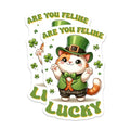 (2 Pack) are You Feline Lucky Magnets - 5" On Longest Side - for Cars, Fridges, Toolboxes - Made in USA - MAG8109