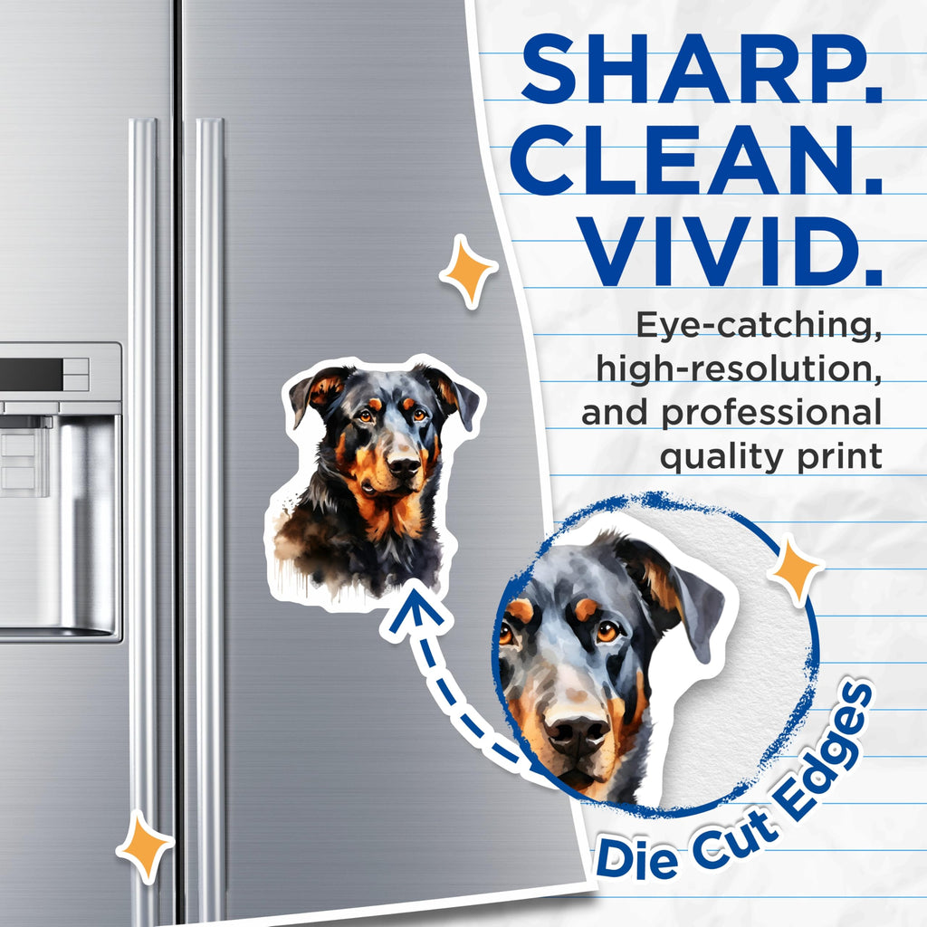 (2 Pack) Beauceron Dog Magnets - Watercolor Pet Art - Dog Lover Home Decor - 5 Inches On Longest Side - Thick Durable Magnet - Made in USA - MAG26113