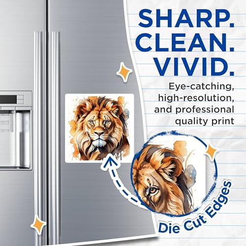 (2 Pack) Lion Magnets Magnets - 5" On Longest Side - Made in USA - Sticks to Refrigerators & Metal Surfaces - MAG8692